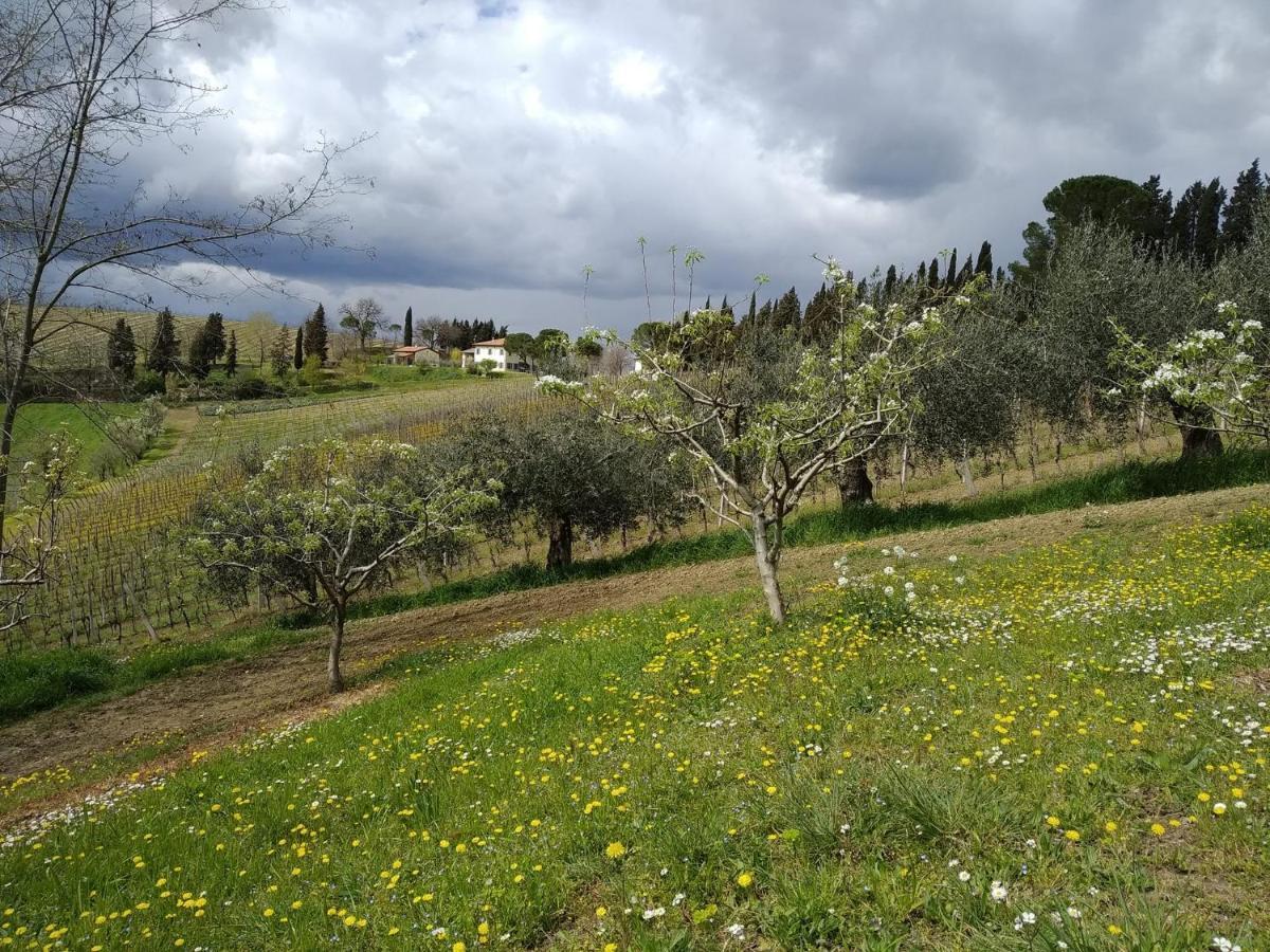 Agriturismo Ca'De'Gatti Faenza Ngoại thất bức ảnh