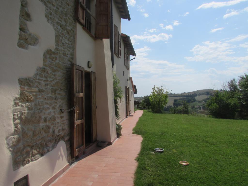 Agriturismo Ca'De'Gatti Faenza Ngoại thất bức ảnh