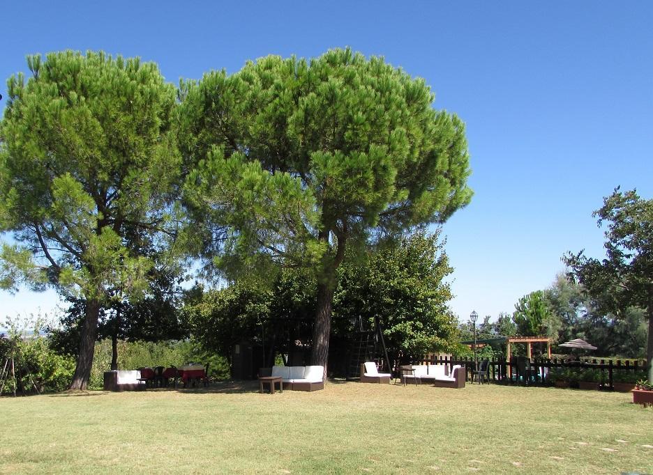 Agriturismo Ca'De'Gatti Faenza Ngoại thất bức ảnh