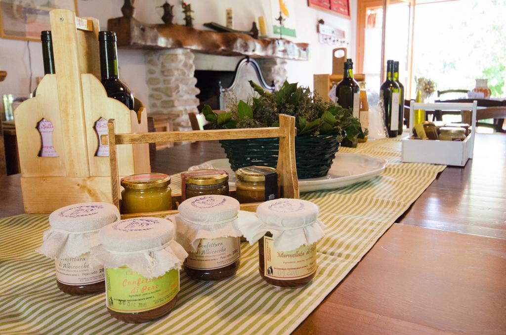 Agriturismo Ca'De'Gatti Faenza Ngoại thất bức ảnh