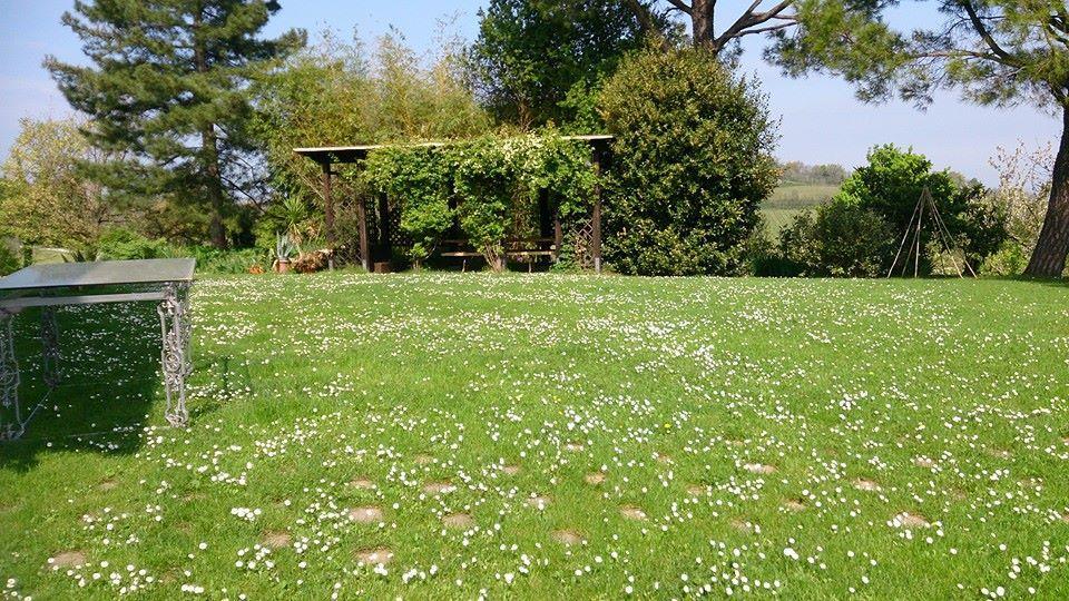 Agriturismo Ca'De'Gatti Faenza Ngoại thất bức ảnh