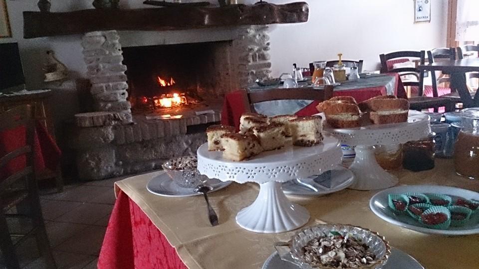 Agriturismo Ca'De'Gatti Faenza Ngoại thất bức ảnh