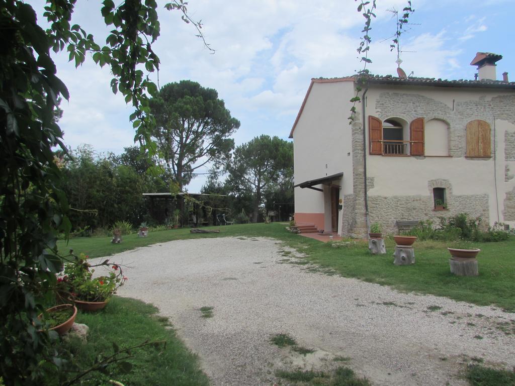 Agriturismo Ca'De'Gatti Faenza Ngoại thất bức ảnh