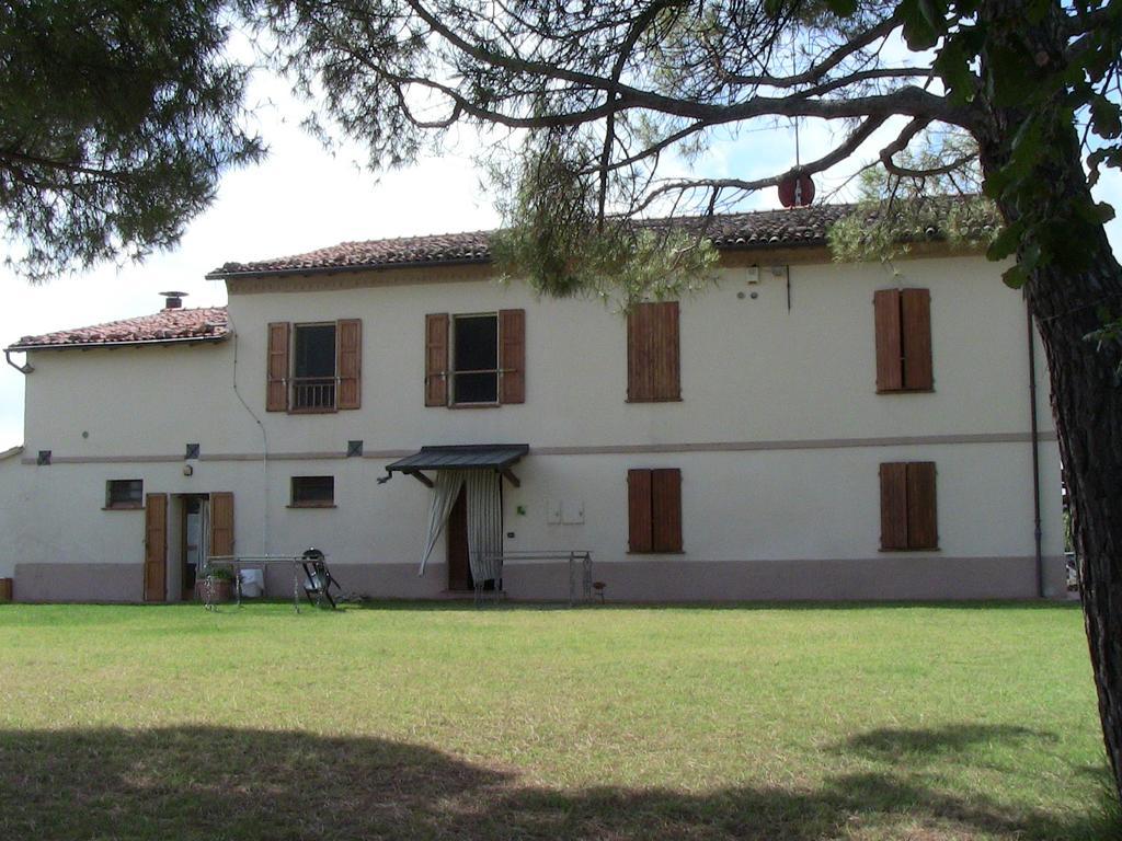 Agriturismo Ca'De'Gatti Faenza Ngoại thất bức ảnh