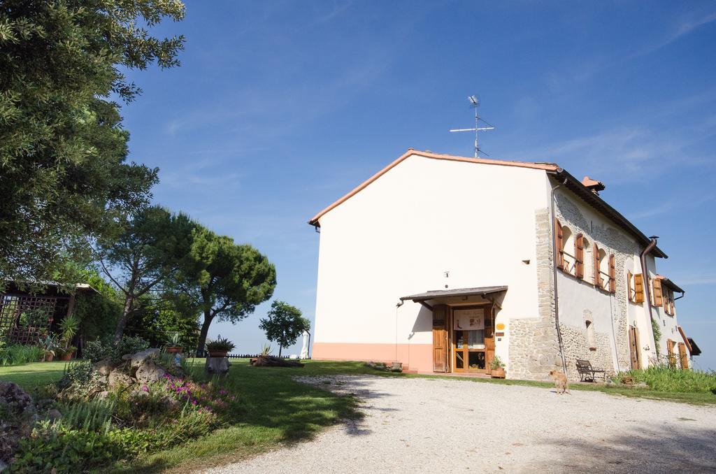 Agriturismo Ca'De'Gatti Faenza Ngoại thất bức ảnh