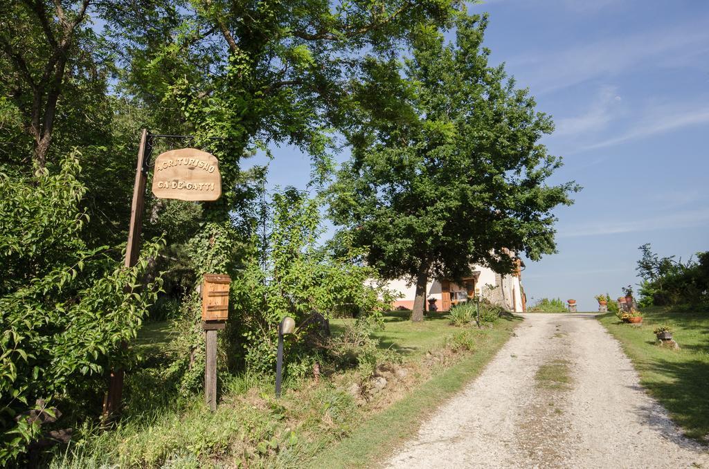 Agriturismo Ca'De'Gatti Faenza Ngoại thất bức ảnh