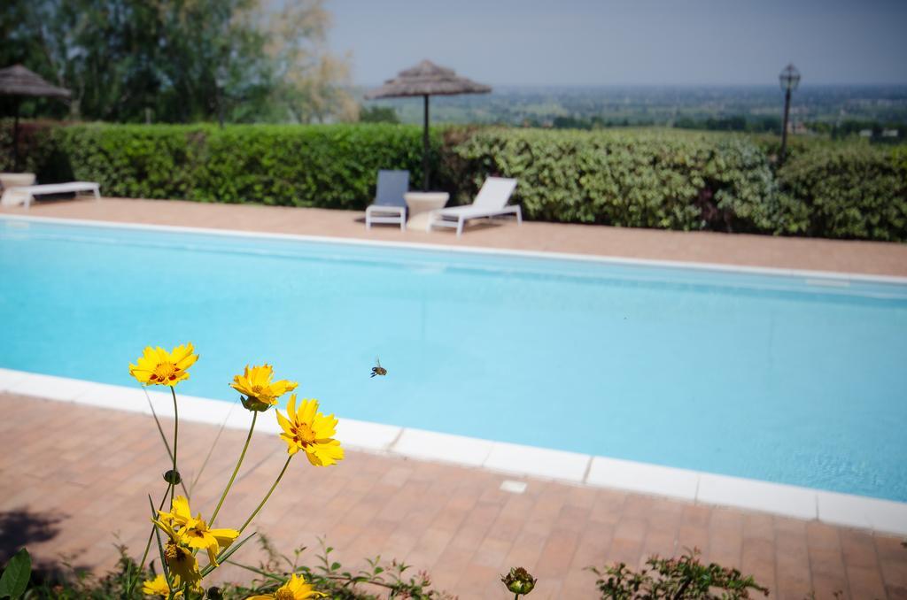 Agriturismo Ca'De'Gatti Faenza Ngoại thất bức ảnh