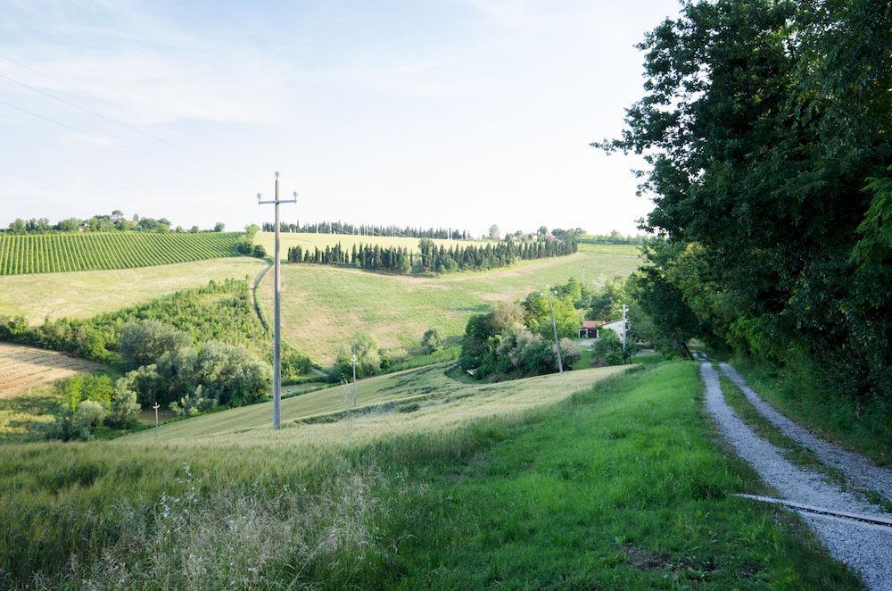 Agriturismo Ca'De'Gatti Faenza Ngoại thất bức ảnh