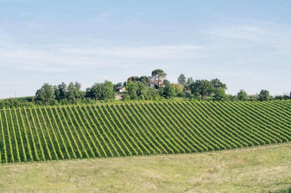 Agriturismo Ca'De'Gatti Faenza Ngoại thất bức ảnh